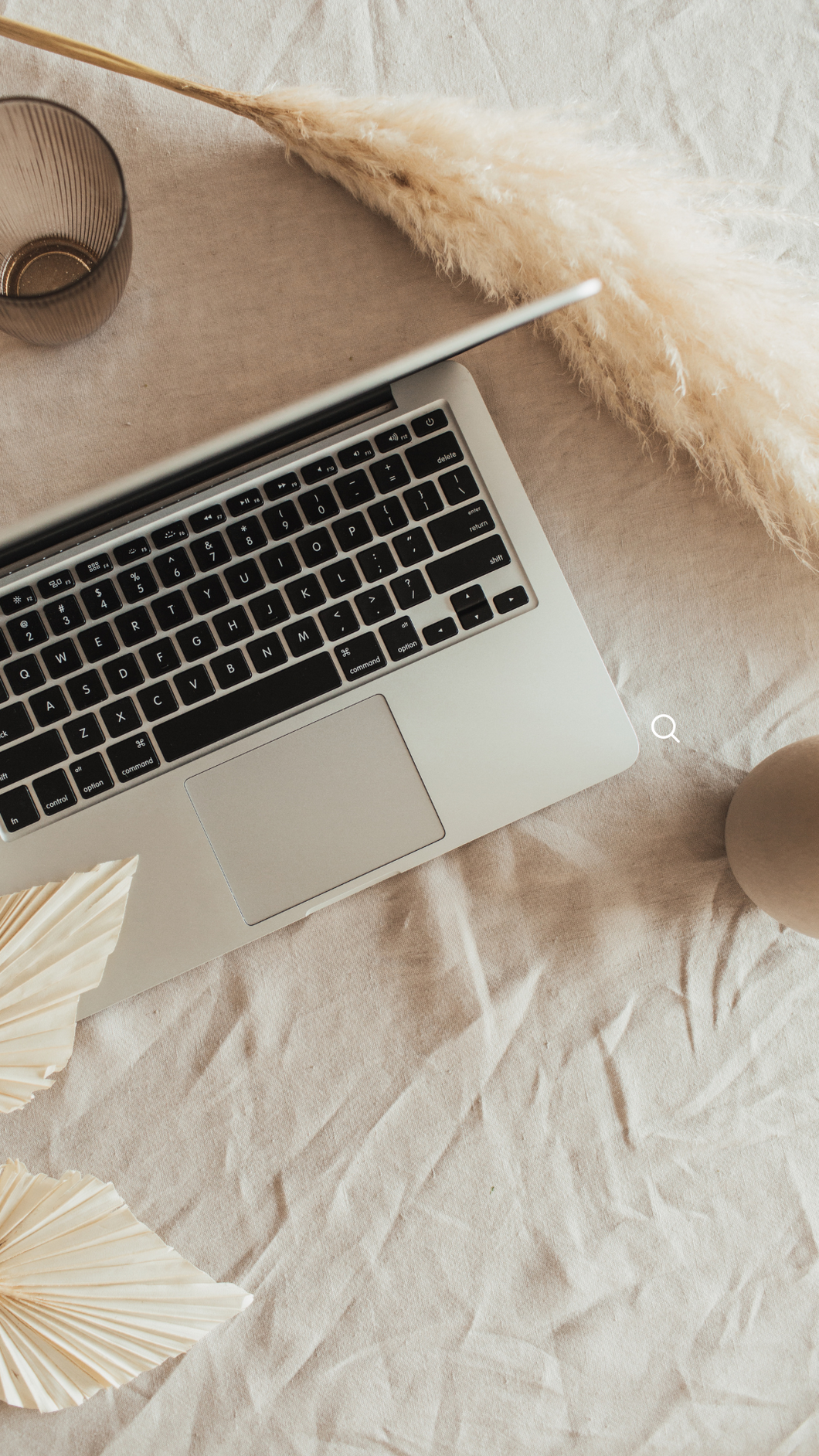 Ericka, Assess My Website